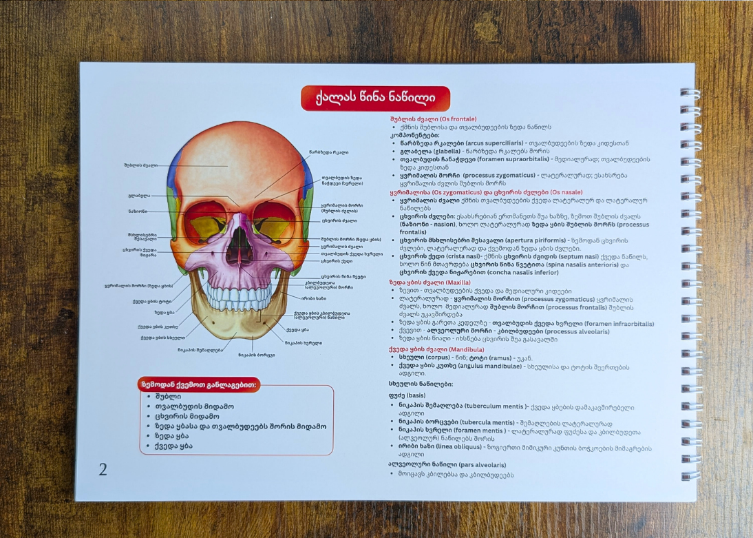 სახის ანატომიის ბარათები